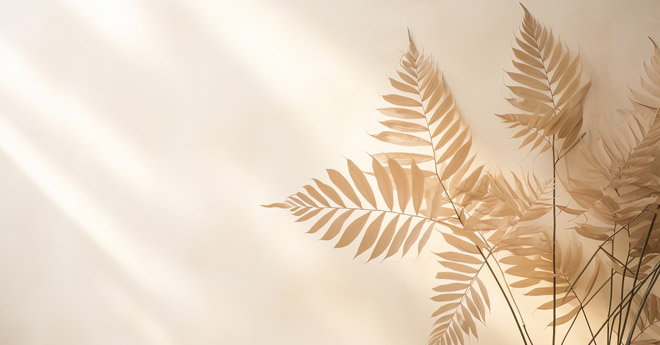 brown fern minimal blog two